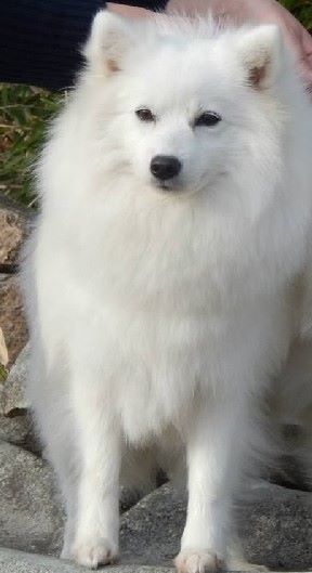 CH. Hanawa Des jardins de margaux