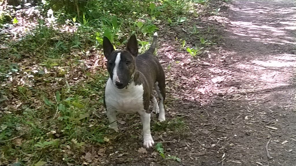 L'air du temps -noor Des jardins de margaux