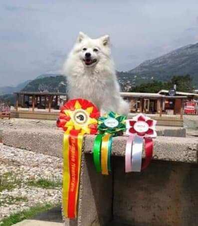 CH. Love kumi Des jardins de margaux