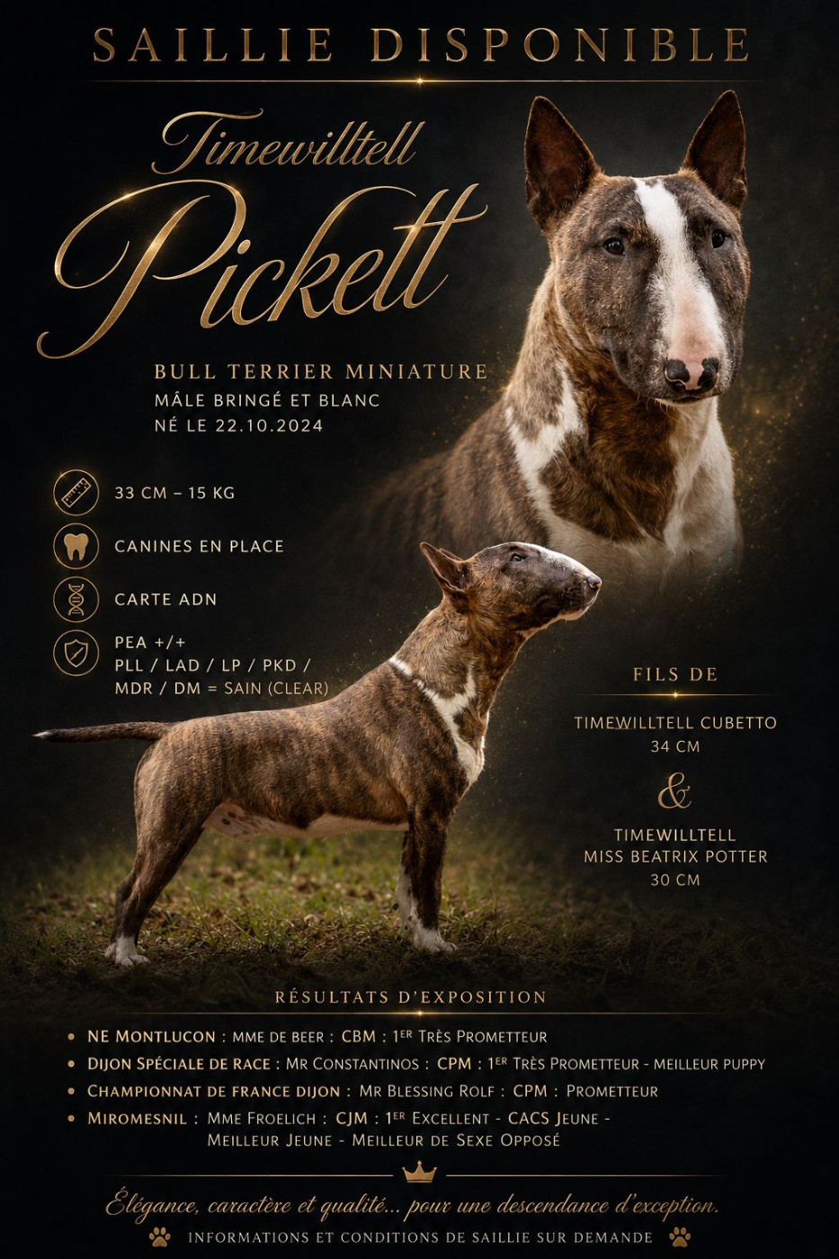 timewilltell Pickett