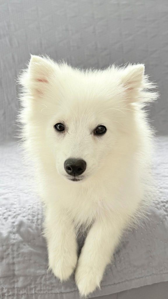 Ando ut Des jardins de margaux