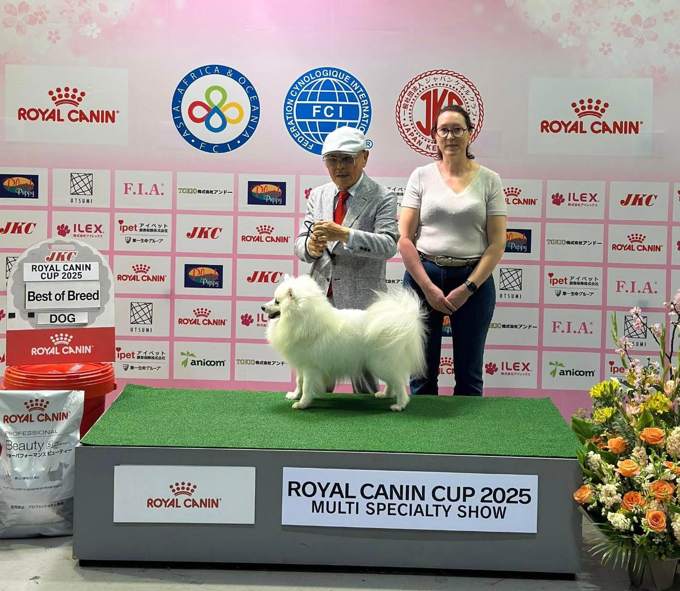 2026 sous les projecteurs